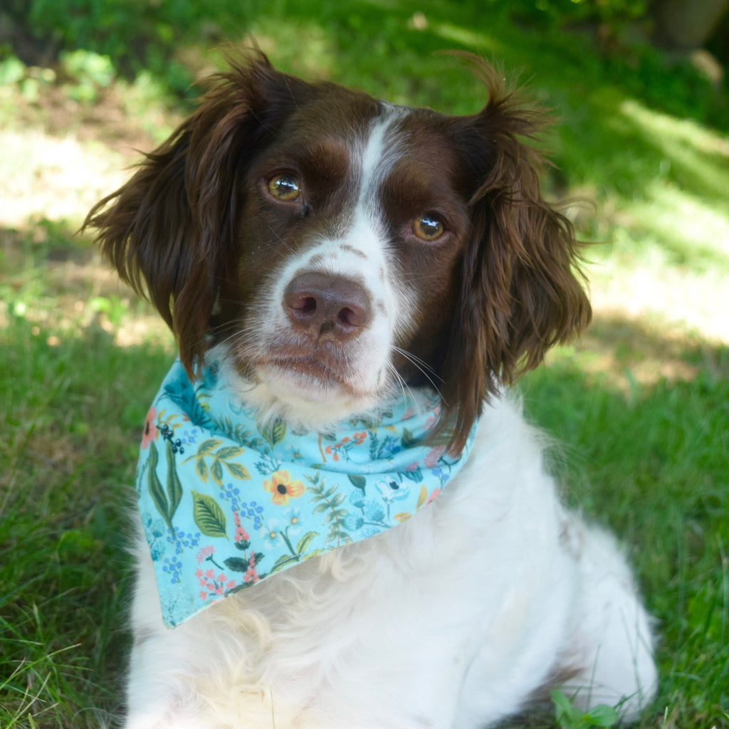The Wildflower Dog Bandana - Three Wags