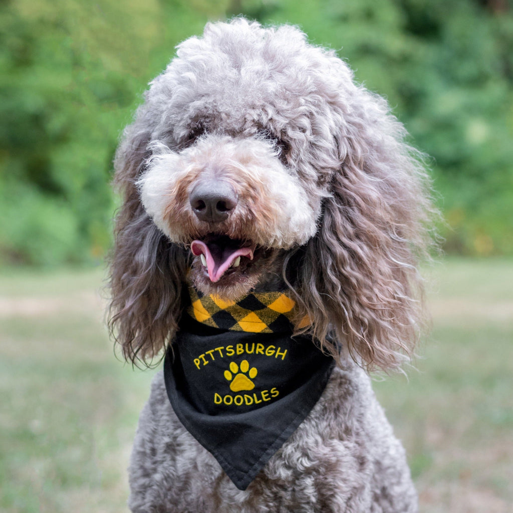 Doodles of Pittsburgh Dog Bandana Bandana Three Wags 